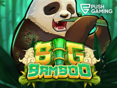 Untamed giant panda casino22